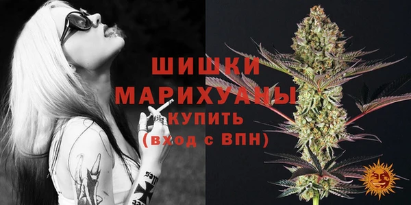 сатива Белокуриха