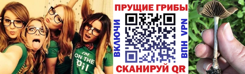купить Улан-Удэ Галлюциногенные грибы мухоморы